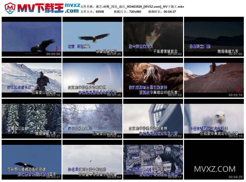 潘艺-画鹰_国语_流行_MD403529